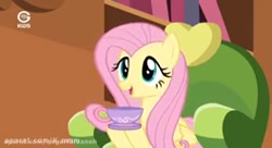 پونی کوچولو