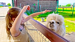 کارتون کودکانه ناستیا و بابایی...