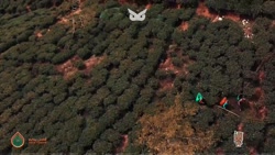 مستندتبلیغاتی فصل پنجم