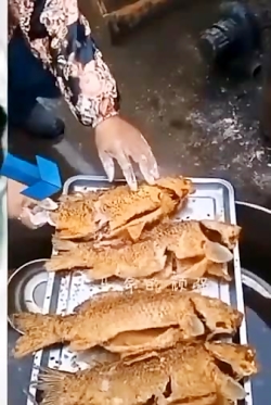 زنده شدن ماهی سرخ شده