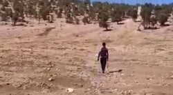 کودکان روستای «نوشکله سیدرضی» با اینترنت ایرانسل آنلاین شدند کودکان روستای «نوشکله سیدرضی» با اینترنت ایرانسل آنلاین شدند