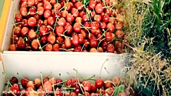 یادگیری زبان انگلیسی با قصه:Fu...