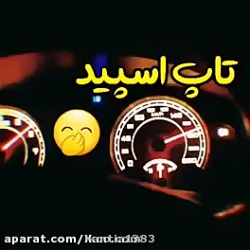 شوتی سوار