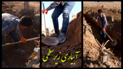 آبیاری زیرسطحی - تلاش سبز