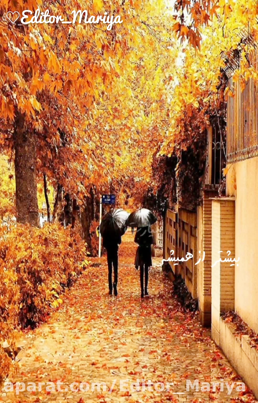 ادیت کلیپ با آهنگ بیشتر از همیشه نیازت دارم