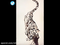نقاشی شنی با موضوع سال نو چینی؛ سال ببر نقاشی شنی با موضوع سال نو چینی؛ سال ببر