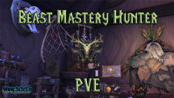 PVE Beast Mastery Hunter DPS