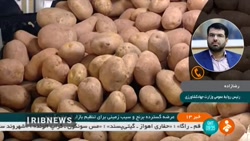 قیمت سیب زمینی از فردا در همه میادین تره بار، ۱۰۰۰۰ تومان است قیمت سیب زمینی از فردا در همه میادین تره بار، ۱۰۰۰۰ تومان است