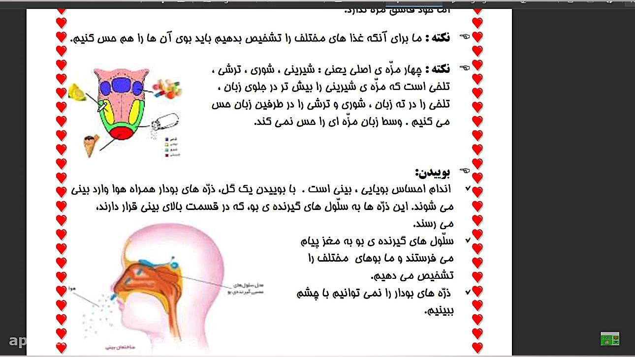 حس چشایی. ابی
