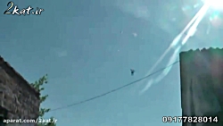 کبوتر هایی که ثابت در هوا می م...