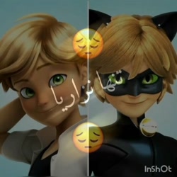 مرینت و آدرین