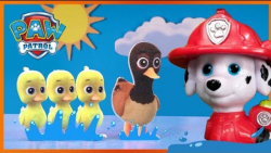 بازی با اسباب بازی سگ های نگهب...