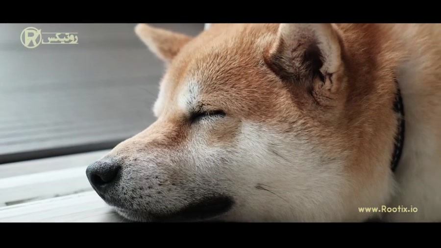 معرفی , ارز , دیجیتال , شیبا , اینو , (Shiba , Inu) , https: , blog , rootix , shiba-inu , مختصرا , شیب , (Shib) , نامیده , توکن , شناخته , شود؛ , واقع , رمز , متمرکز , سال , شخص , ناشناس , ملقب , ریوشی , ایجاد