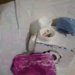 معرفی خانه من با lol ها