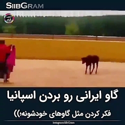 شانس آورد نمرد