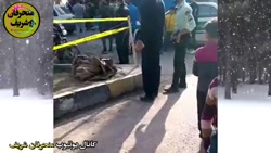 سیر تا پیاز ماجرای قتل دختر ۱۷...