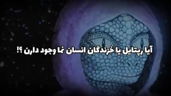 سعید والکور