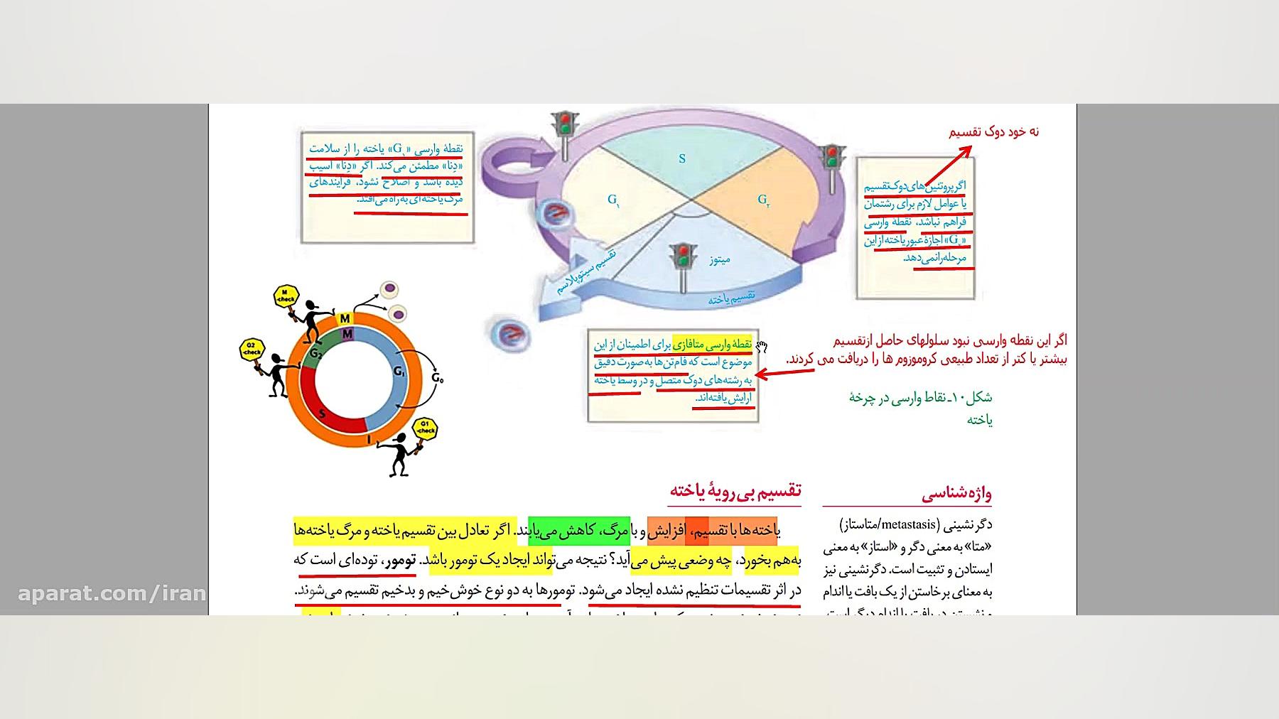 عوامل تنظیم کننده تقسیم یاخته مهندسی ژنوم انسانی
