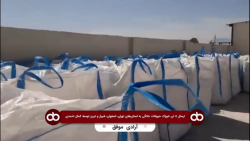 ارسال 5 تن خوراک حیوانات خانگی به استان های اطراف