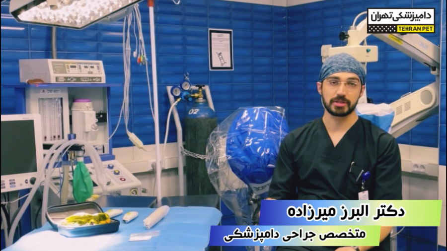 کلینیک تخصصی لیزر و پلاسما جراحی در بیمارستان دامپزشکی تهران ماکروسفالی