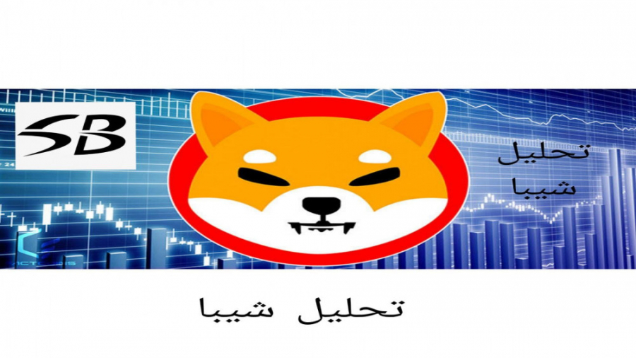 تحلیل , میم , کوین , محبوبِ , شیبا , | , رشد , شروع , شد؟! , بررسی , دلایل , ویدئو , رو , دست , ندید!