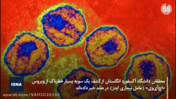 کشف سویه جدید HIV؛ محققان می گویند نگران نباشید