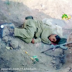 شعر ناب