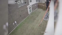 40 WEIRDEST THINGS CAUGHT ON S...