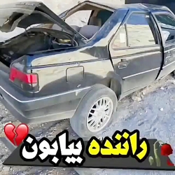 شوتی سوار