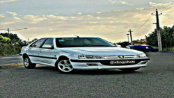 فیلم راهپیمایی سلاطین شوتی همر...