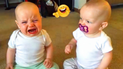 لحظات فان و خنده دار جنگ نوزاد...