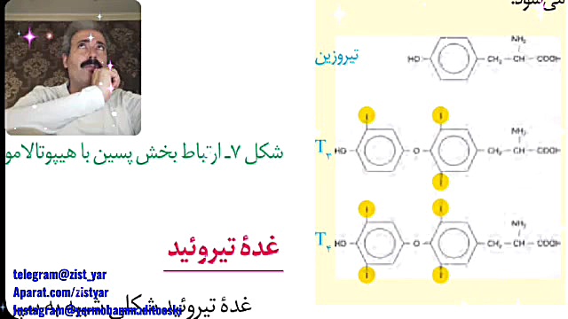 فصل چهارم زیست شناسی پایه یازدهم(تنظیم شیمیایی) آکنه