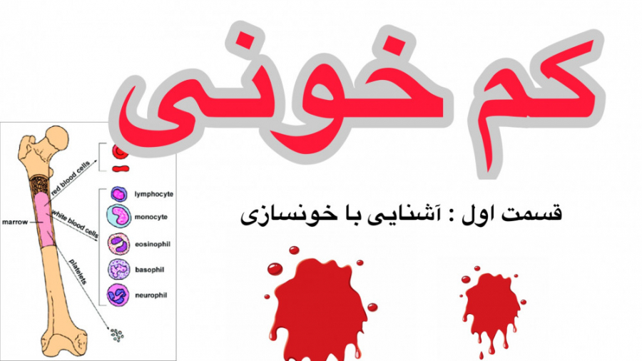 کم خونی ( قسمت اول : خون چگونه تولید میشود ؟ ) لیپوماتیک