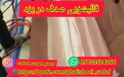 قالیشویی صدف