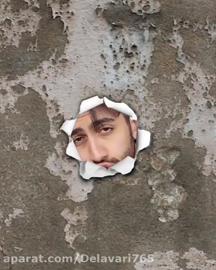 ایده های احمقانه  آرمان د فیک