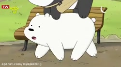 خرس های کله فندقی  خرس  کله  ف...