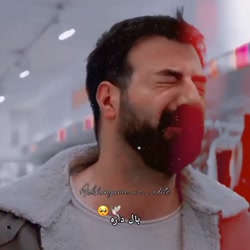 ستاره شمالی