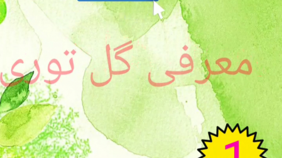 معرفی گل توری (قسمت اول۱) زمان72ثانیه