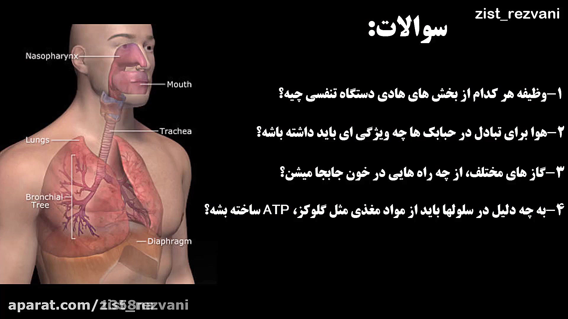 دستگاه تنفسی برداشتن توده