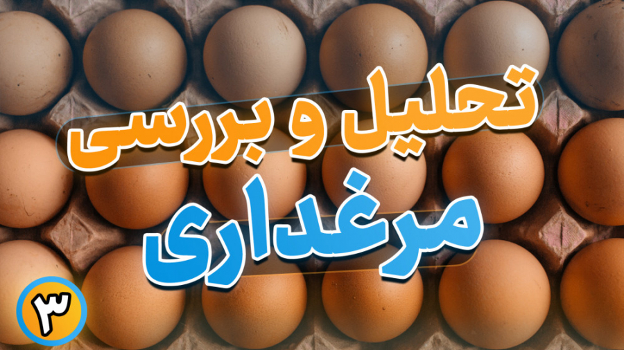 تحلیل و بررسی مرغداری (قسمت سوم) دکتر محمد مهدی عبدالهی (دامپزشک)