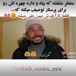 ستاره شمالی