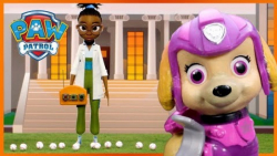 بازی با اسباب بازی سگ های نگهب...