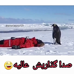 طنز:بلند شو زلوبیا