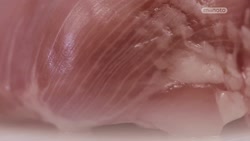 دنیای ناشناخته خوراکی&zwnj;ها...