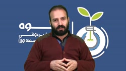 جلوه نیوز عربی نهم