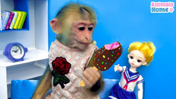 برنامه کودک بچه میمون | داستان...