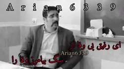 حامد تبریزی