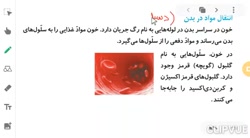 صفحه 86 و 87 علوم چهارم ابتدای...