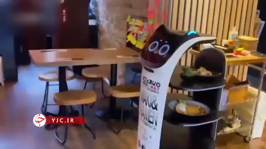 استفاده از ربات پیشخدمت گربه ای در رستوران   فیلم زمان79ثانیه