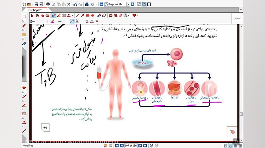 مهندسی پروتئین و بافت(گفتار۲ از فصل۷ زیست دوازدهم) پیلینگ شیمیایی